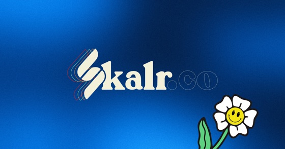 Capture du SaaS Skalr.co, page d'accueil avec simulateur de ROI